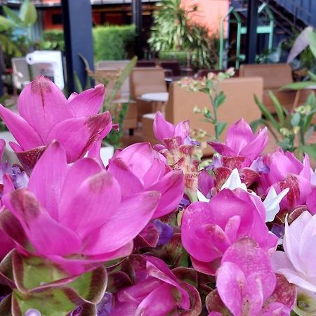 Kipbox Hotel トラン エクステリア 写真